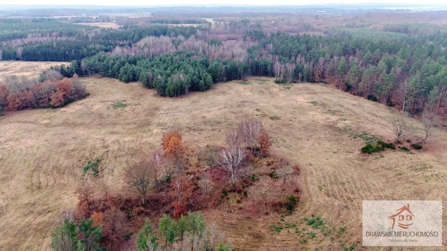 Działka inna na sprzedaż Pepłówek, Pepłówek  245 314m2 Foto 9