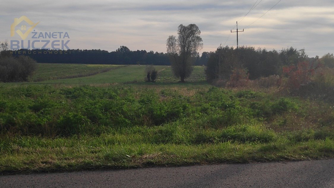 Działka rolna na sprzedaż Nowe Mostki  16 658m2 Foto 4