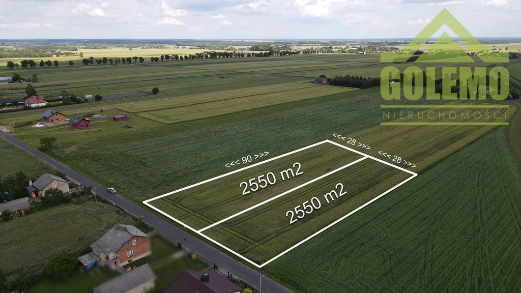 Działka budowlana na sprzedaż Dubidze-Kolonia  2 550m2 Foto 3