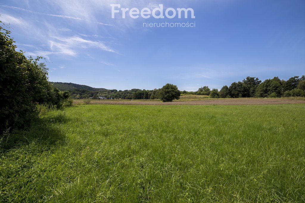 Działka rolna na sprzedaż Cieszyna  9 593m2 Foto 16