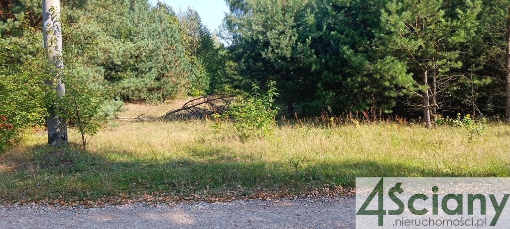 Działka budowlana na sprzedaż Zalesie  19 000m2 Foto 1