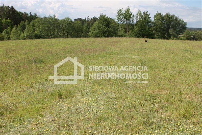 Działka budowlana na sprzedaż Lubowidz 950m2 Foto 1 Działka budowlana na sprzedaż Lubowidz 950m2 Foto 1