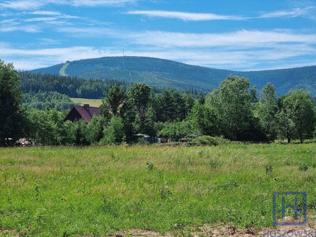 Działka budowlana na sprzedaż Świeradów-Zdrój  800m2 Foto 3