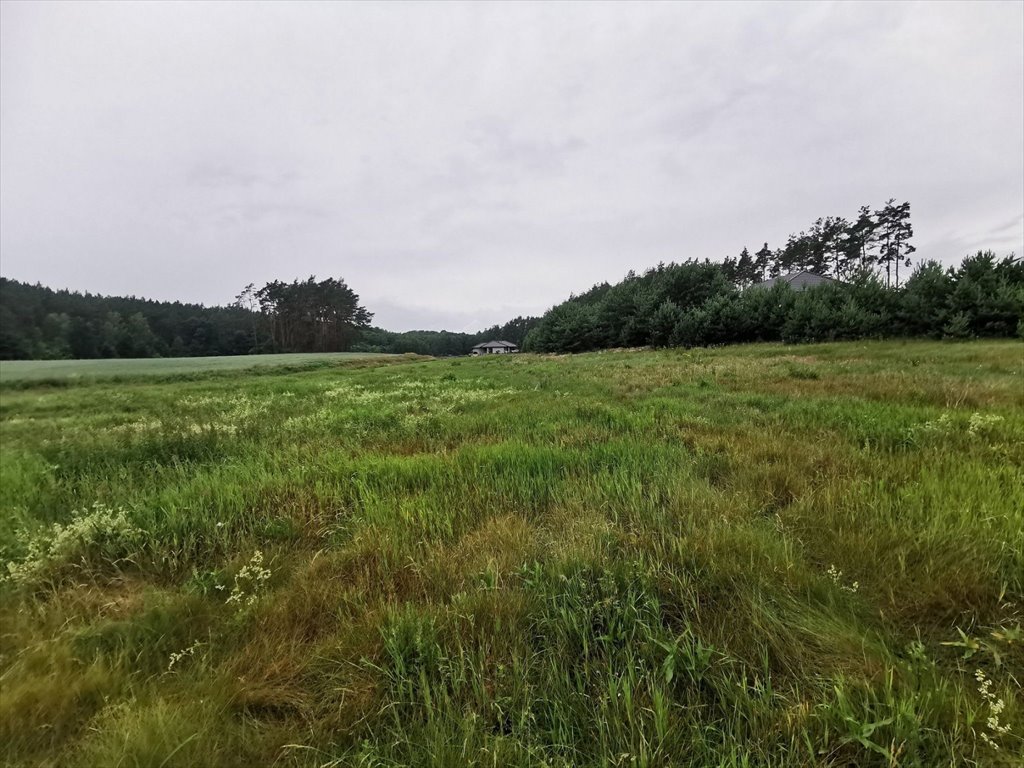 Działka budowlana na sprzedaż Międzybłocie, Międzybłocie  3 008m2 Foto 14