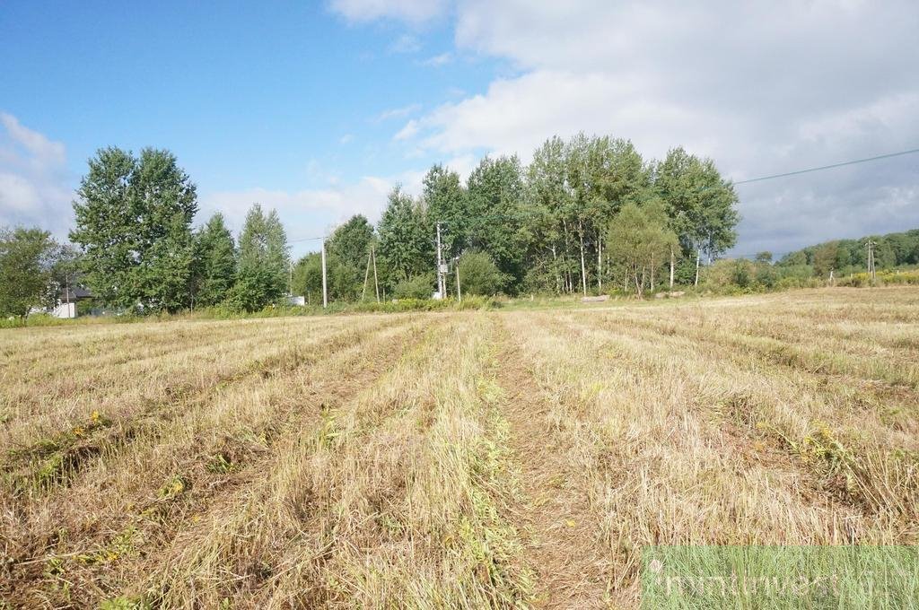 Działka budowlana na sprzedaż Żółwia Błoć  3 008m2 Foto 4