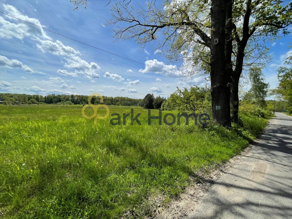 Działka inwestycyjna na sprzedaż Bądzów  23 209m2 Foto 1