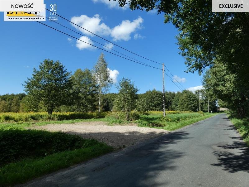 Polecam działkę 3004 m² w Łoźnicy z dostępem do wody i prądu: Łoźnica