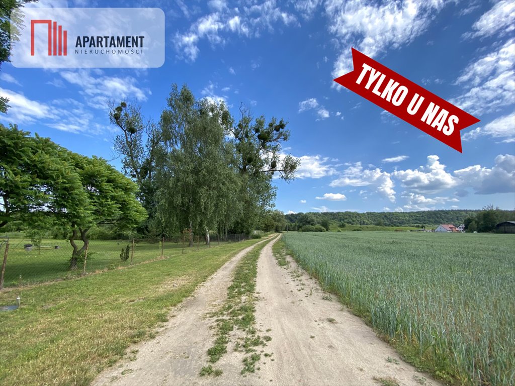 Działka budowlana na sprzedaż Pogorzała Wieś  1 000m2 Foto 3