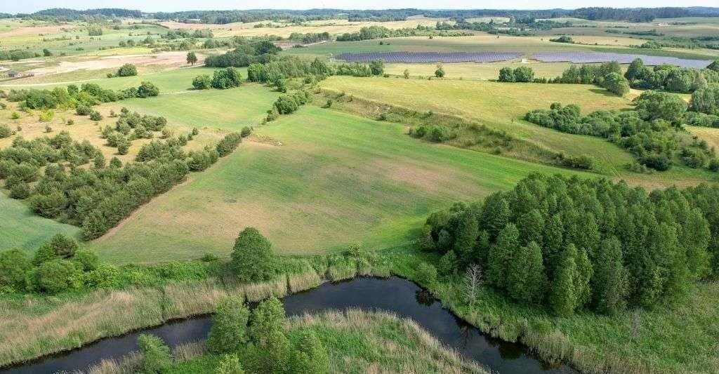 Działka rolna na sprzedaż Straduny  3 000m2 Foto 14