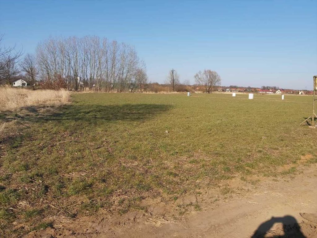 Działka budowlana na sprzedaż Serby, Serby  1 200m2 Foto 2