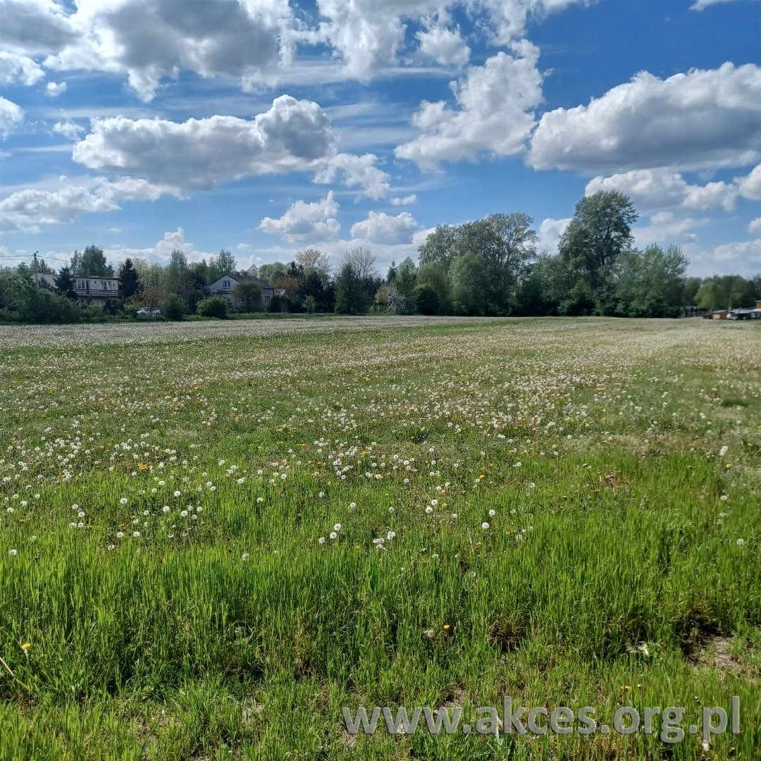 Działka rolna z możliwością zabudowy 16 600 m² polecam Warpęsy  16 600m2 Foto 1