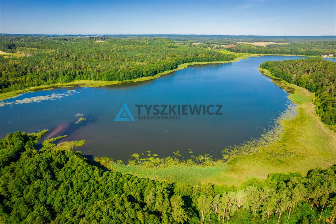 Działka rolna na sprzedaż Żukówko  14 200m2 Foto 5