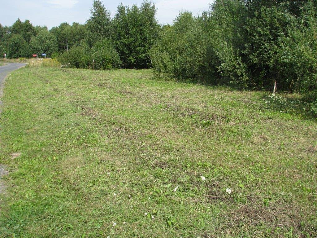 Zdjęcie 5