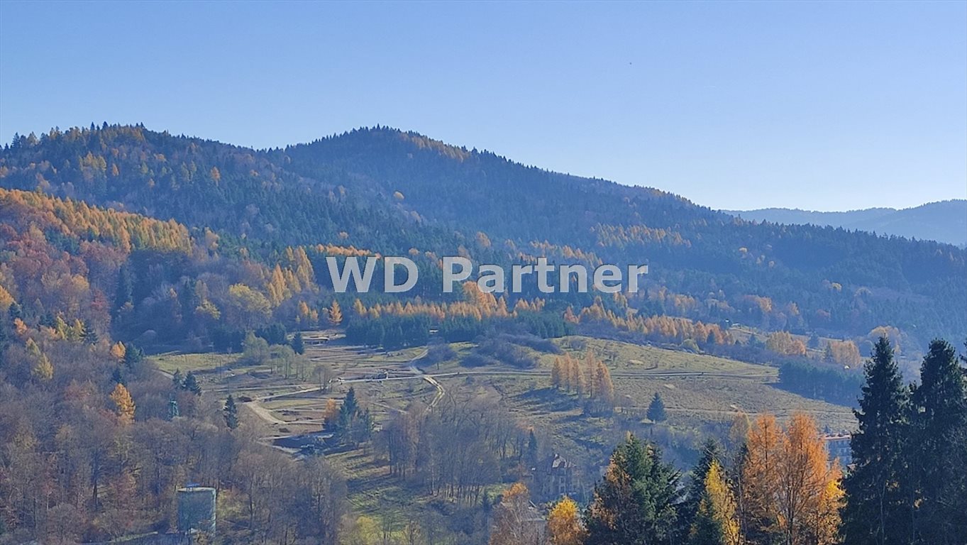 Działka rolna w Krynicy-Zdrój 6,9 tys. m2, plan zagospodarowania Krynica-Zdrój  6 908m2 Foto 1