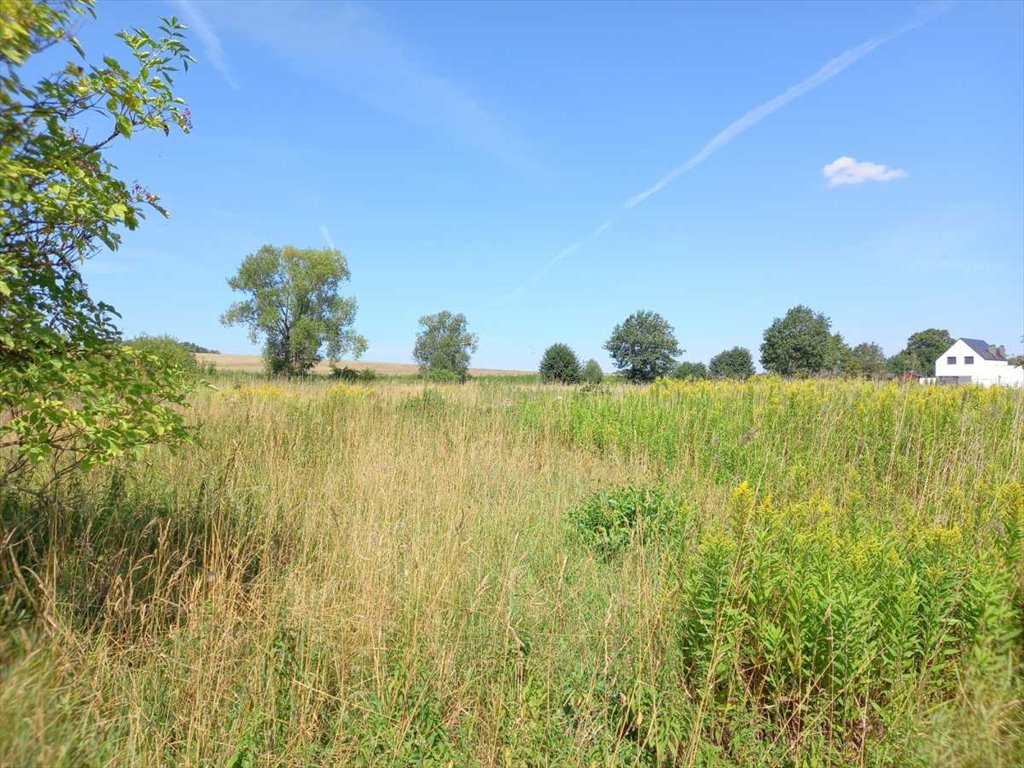 Działka budowlana na sprzedaż Wieruszów, Wieruszów  2 100m2 Foto 2