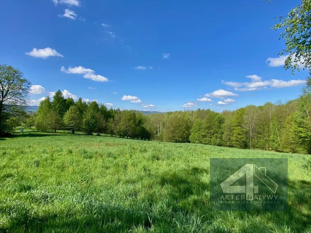 Duża działka 56 arów z możliwością podziału, widokowa, media, asfalt Zawada  5 600m2 Foto 1