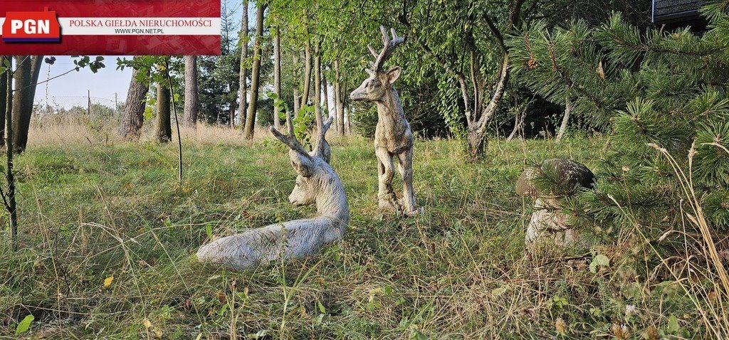 Dom na sprzedaż Duszniki-Zdrój  300m2 Foto 4