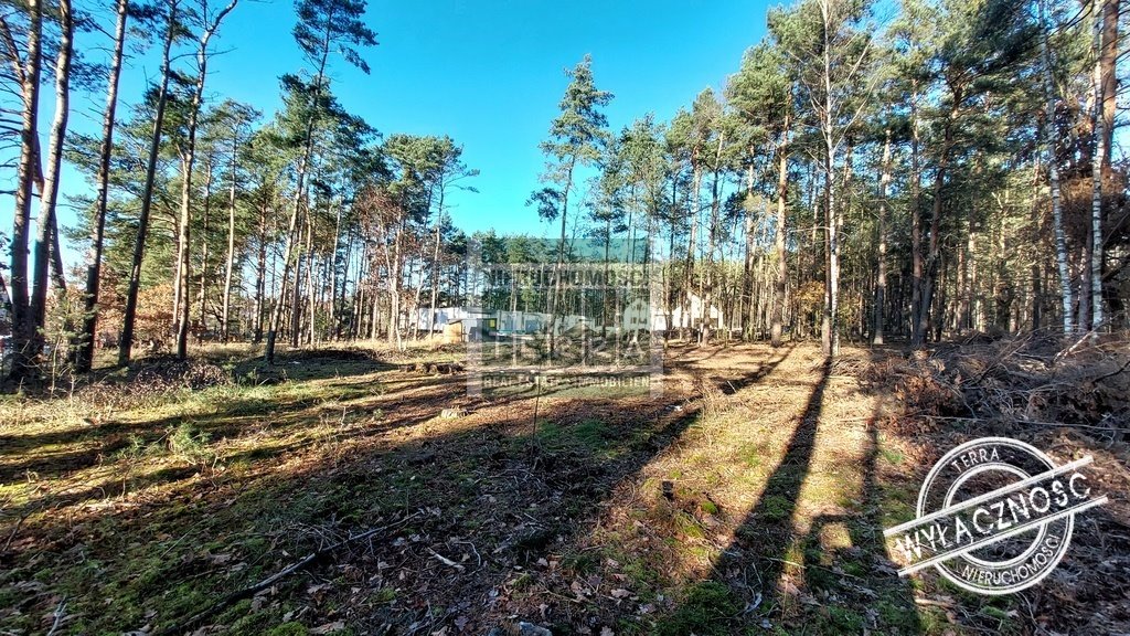 Działka budowlana w Drzonkowie z szybkim dojazdem i lasem Zielona Góra, Drzonków, Drzonków-Rajcowska  766m2 Foto 1