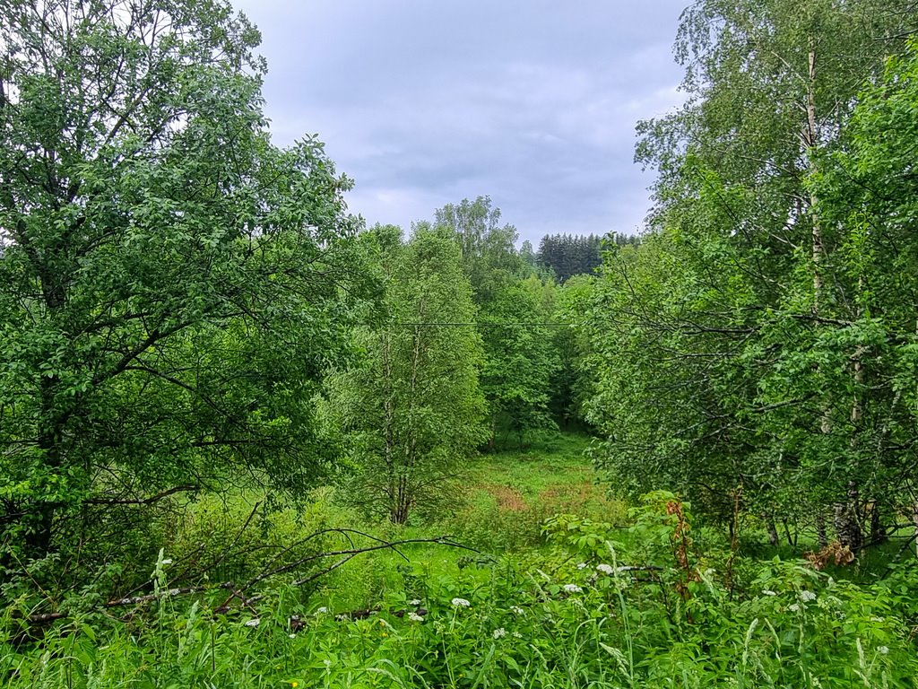 Działka inna na sprzedaż Niemojów  22 900m2 Foto 7