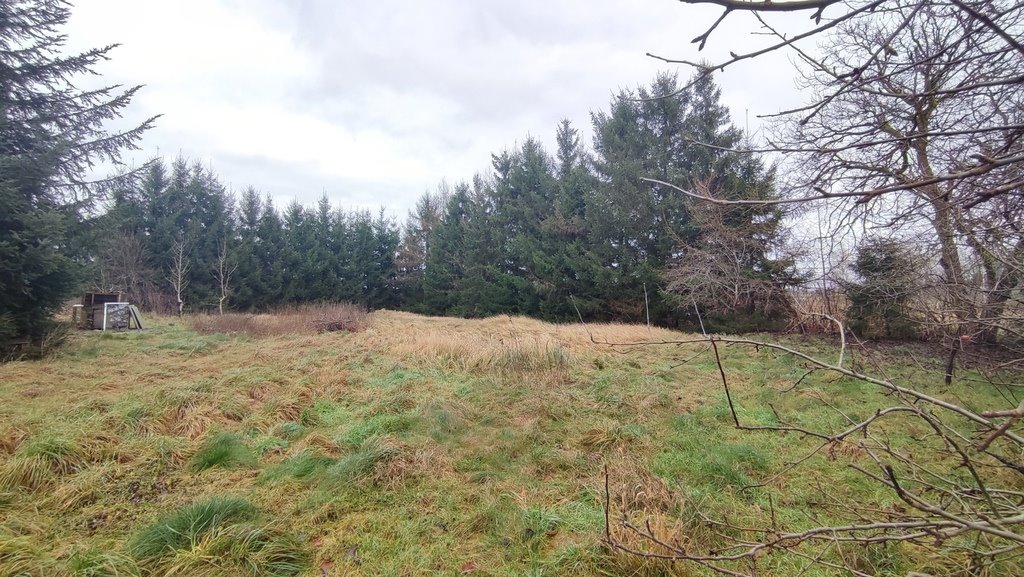 Dom z zabudowaniami i dużą działką – idealny do remontu Przybiernów, Bolesława Chrobrego  250m2 Foto 1