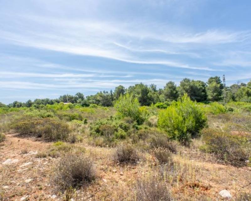 Działka budowlana na sprzedaż Hiszpania, Javea, Hiszpania, Cabo de Sant Antonio  6 000m2 Foto 6