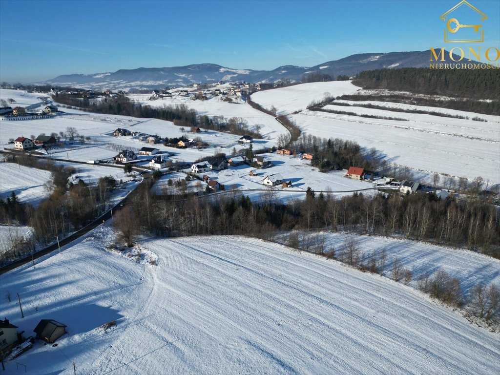 Działka budowlana na sprzedaż Krasne Potockie  4 200m2 Foto 4