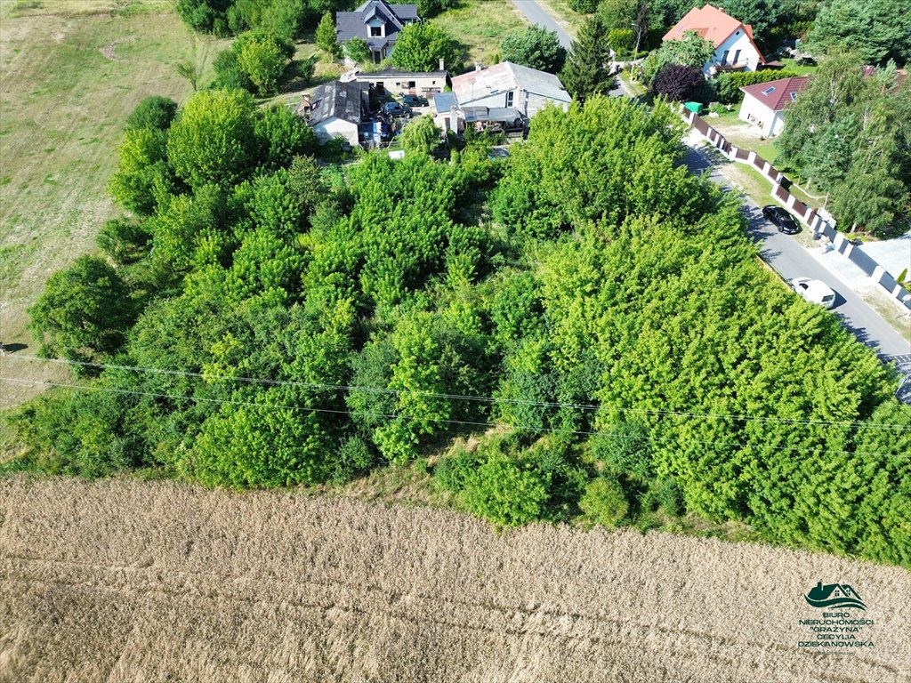 Polecam działkę 1586 m² pod dom w spokojnej okolicy Aleksandrów Kujawski, Rożno Parcele  1 586m2 Foto 1