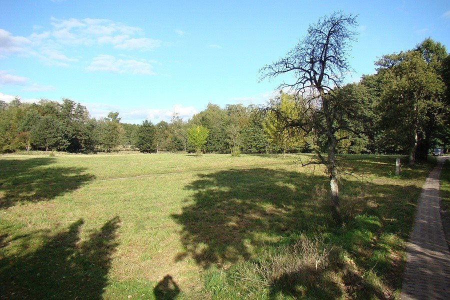 Działka budowlana na sprzedaż Sierakowo 1 055m2 Foto 1 Działka budowlana na sprzedaż Sierakowo 1 055m2 Foto 1