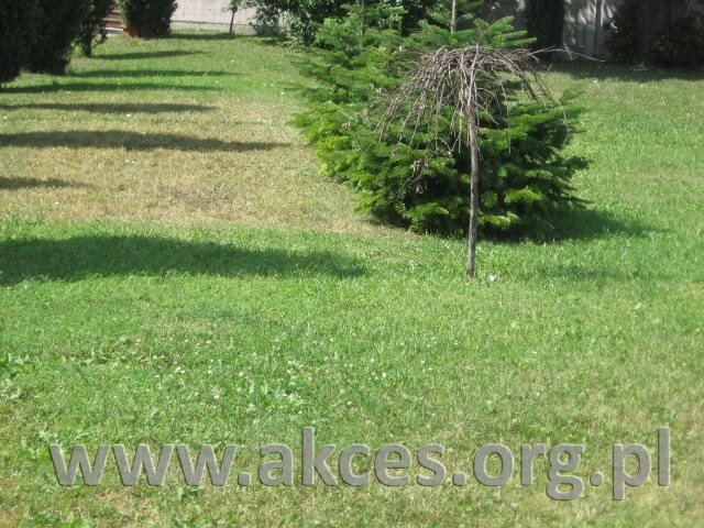 Dom parterowy z dużą kuchnią i kominkiem, ogród, do rozbudowy Warszawa, Targówek, Elsnerów  50m2 Foto 1