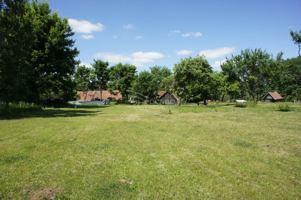 Działka siedliskowa na sprzedaż Liski  6 600m2 Foto 7