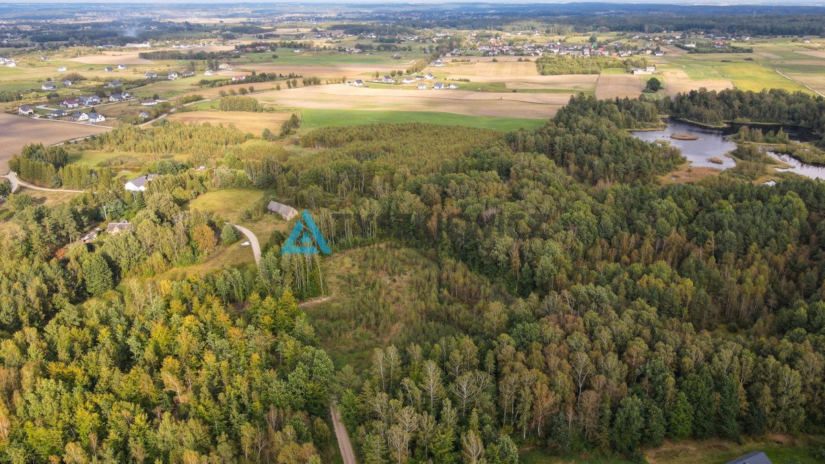 Działka budowlana na sprzedaż Skrzeszewo Żukowskie, Leśna  11 811m2 Foto 11