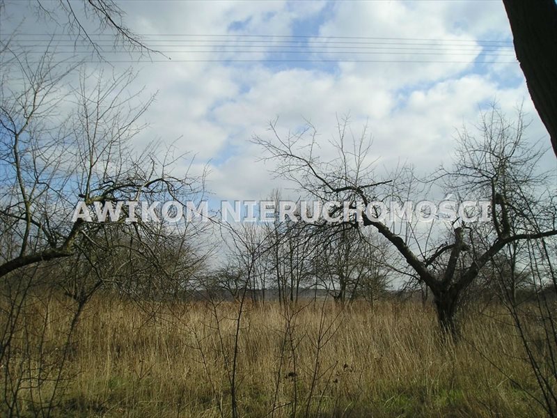Działka rolna na sprzedaż Skierniewice, Dębowa Góra  16 511m2 Foto 5