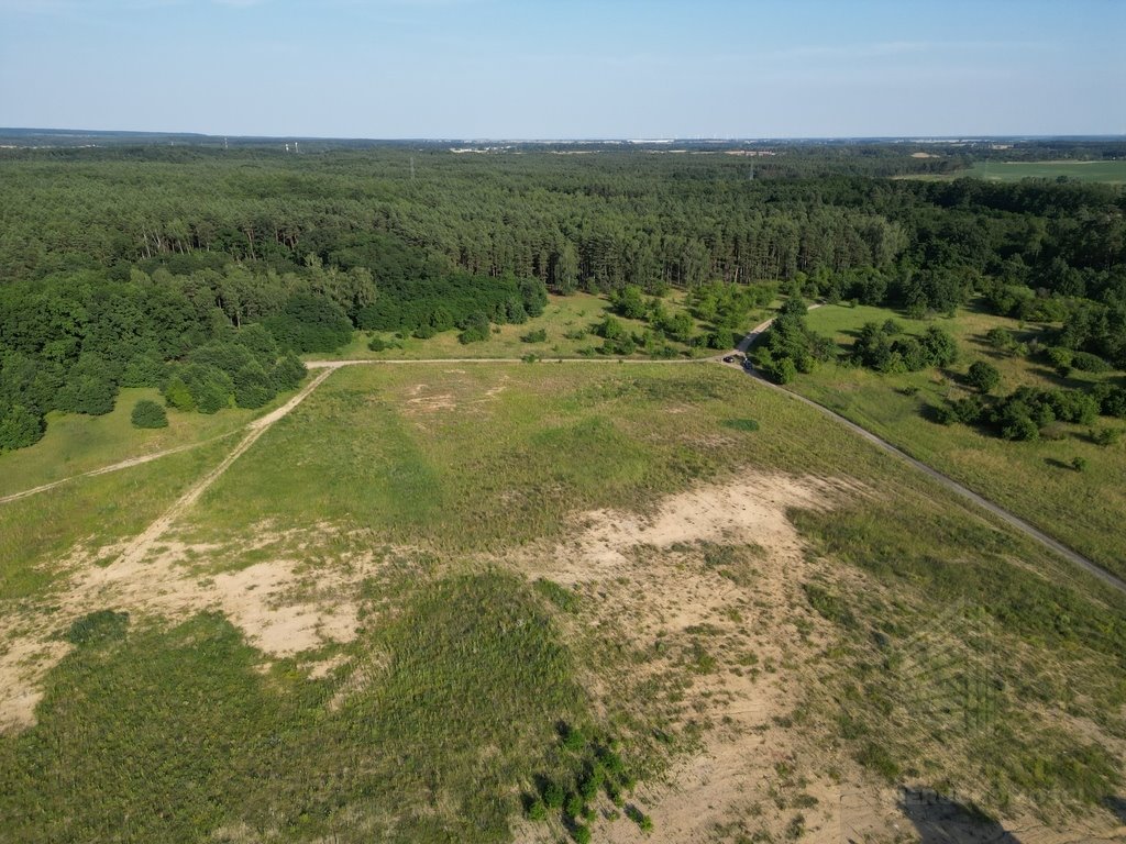 Działka budowlana na sprzedaż Daleszewo  42 300m2 Foto 3