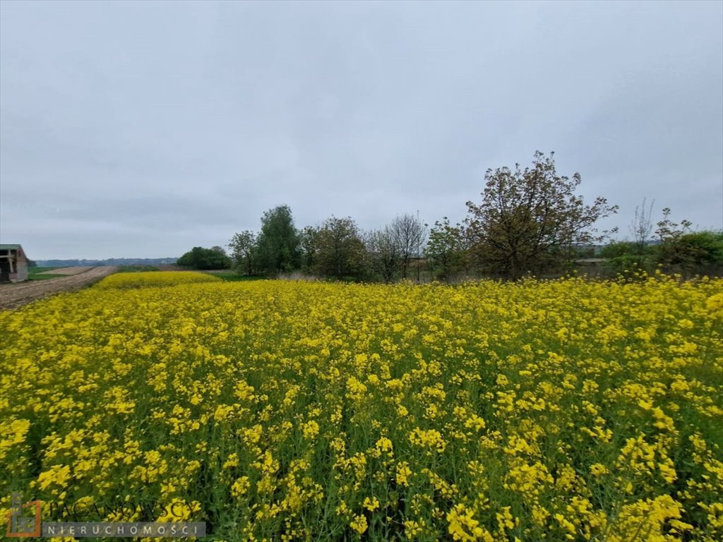 Działka budowlana na sprzedaż Kraków, Prądnik Biały, Witkowice  1 637m2 Foto 1