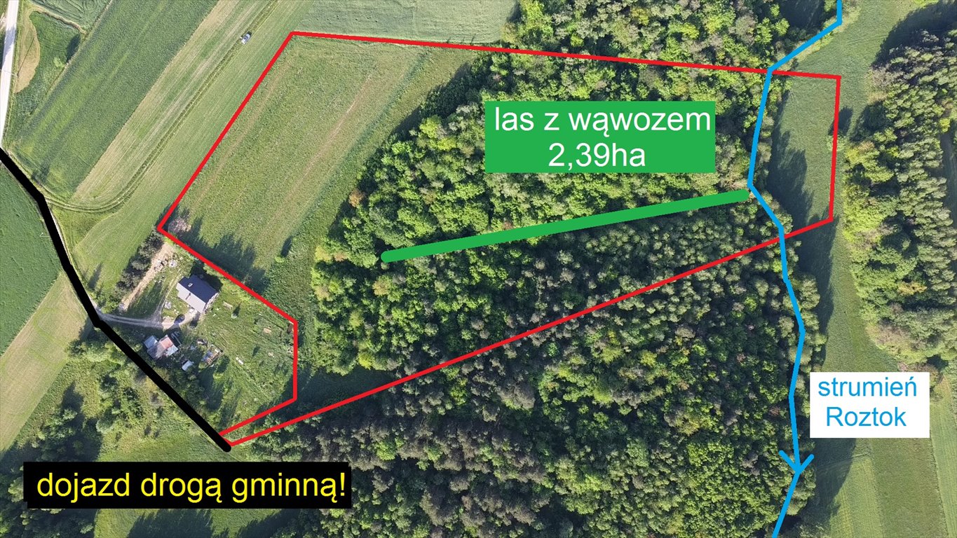 Działka siedliskowa na sprzedaż Melonek  41 400m2 Foto 7