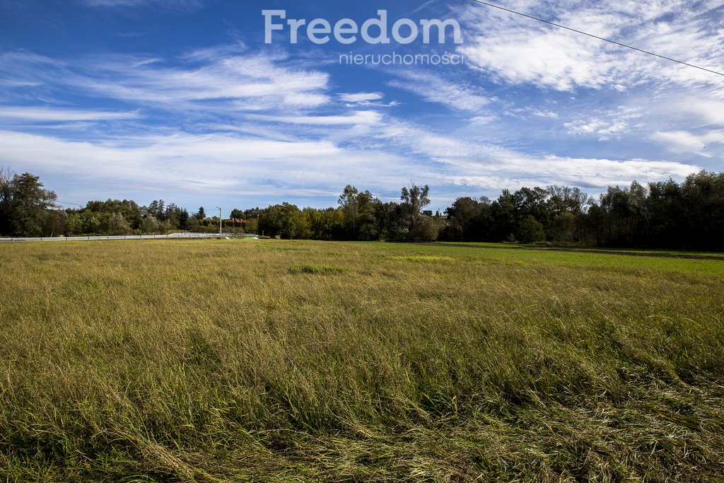 Działka inwestycyjna na sprzedaż Niechobrz  6 000m2 Foto 8