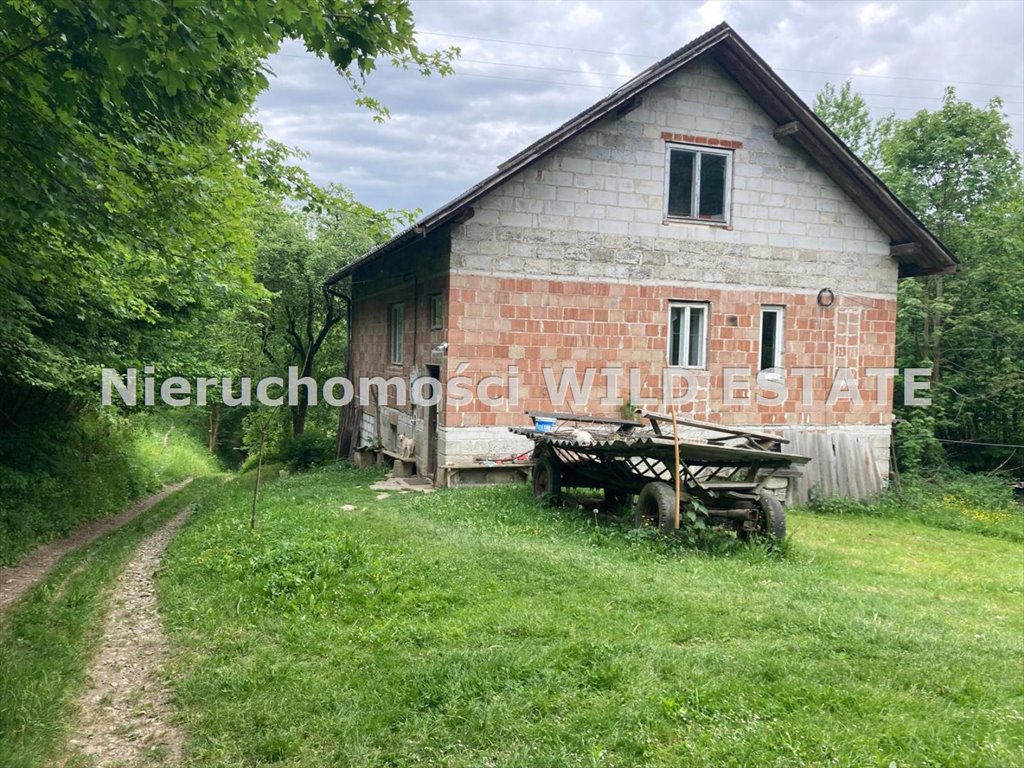 Dom z potencjałem na 16 arów z dużym budynkiem gospodarcym Dydnia, Krzemienna  100m2 Foto 1