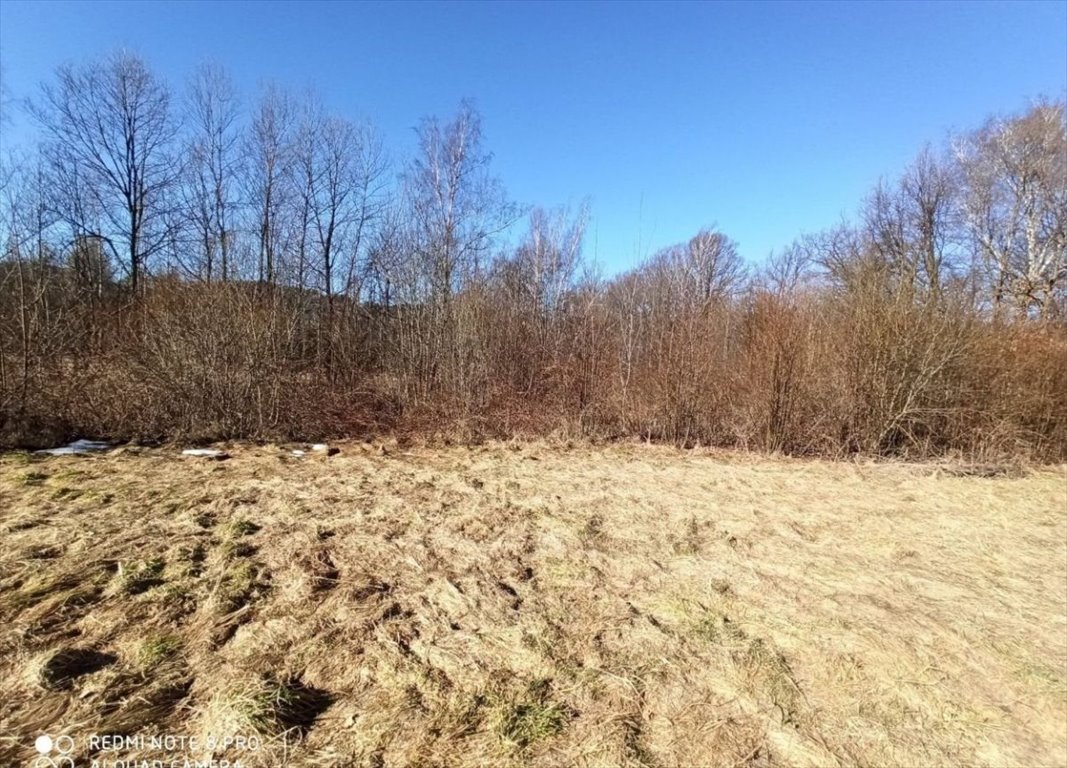 Działka budowlana na sprzedaż Milówka  1 300m2 Foto 8
