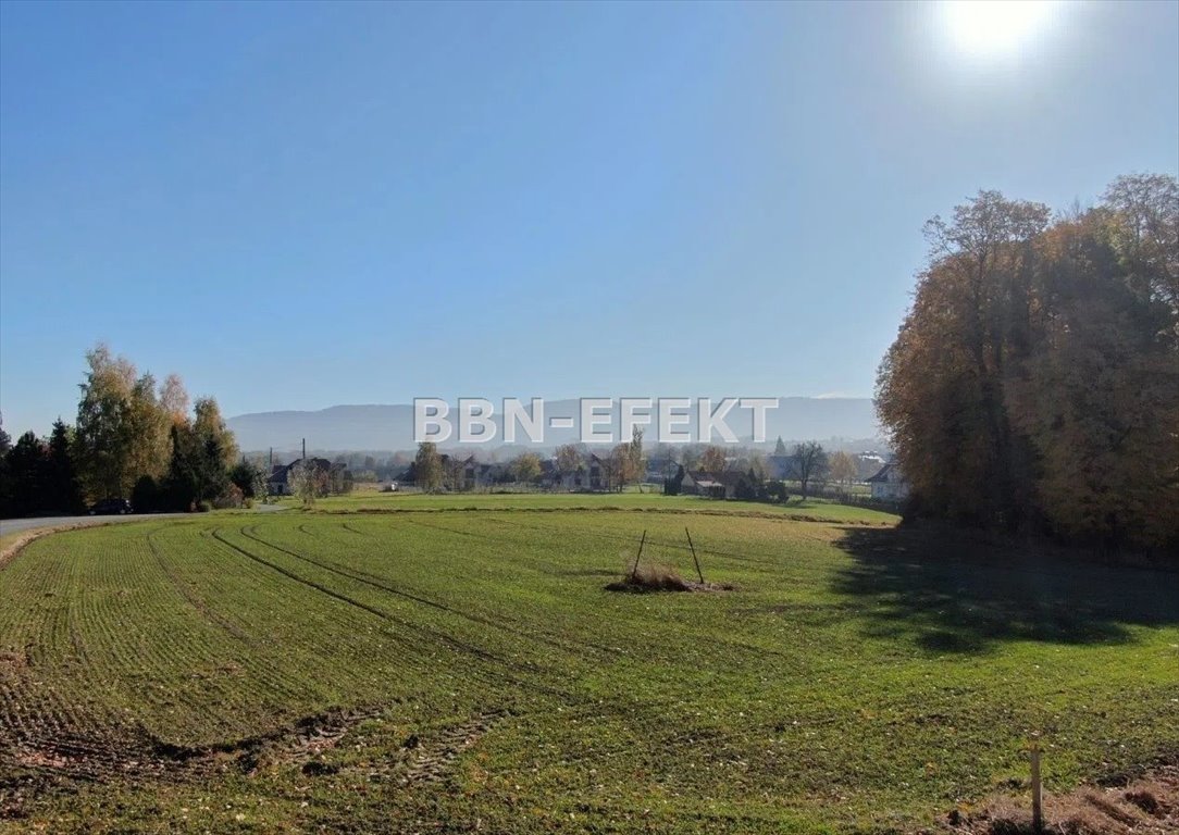 Działka inna na sprzedaż Bielsko-Biała, Hałcnów  6 400m2 Foto 3