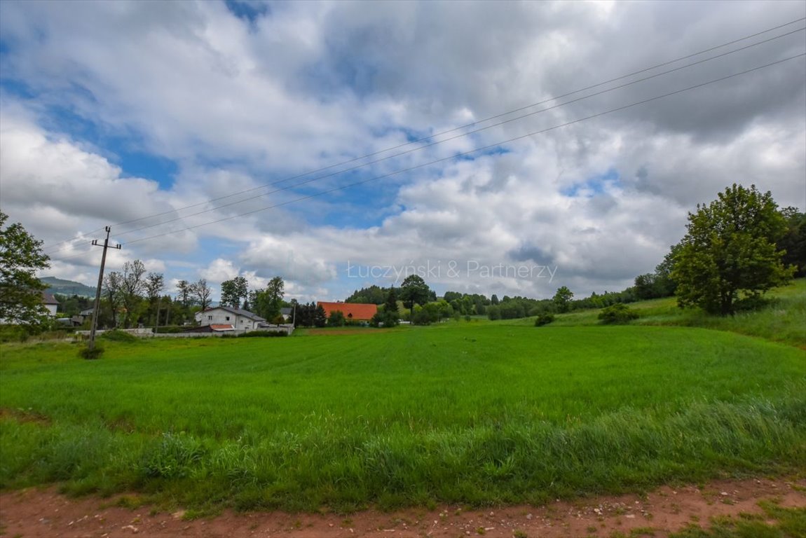 Działka budowlana na sprzedaż Olszyny  2 900m2 Foto 2