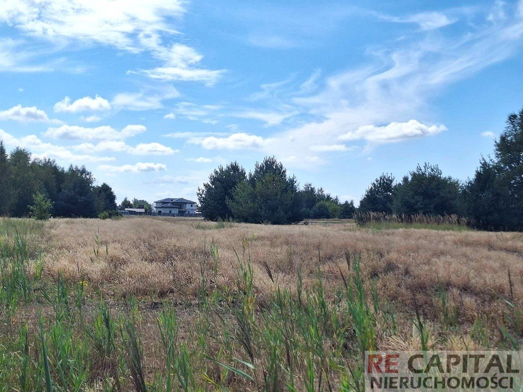 Działka budowlana na sprzedaż Borzęcin Mały  1 000m2 Foto 2