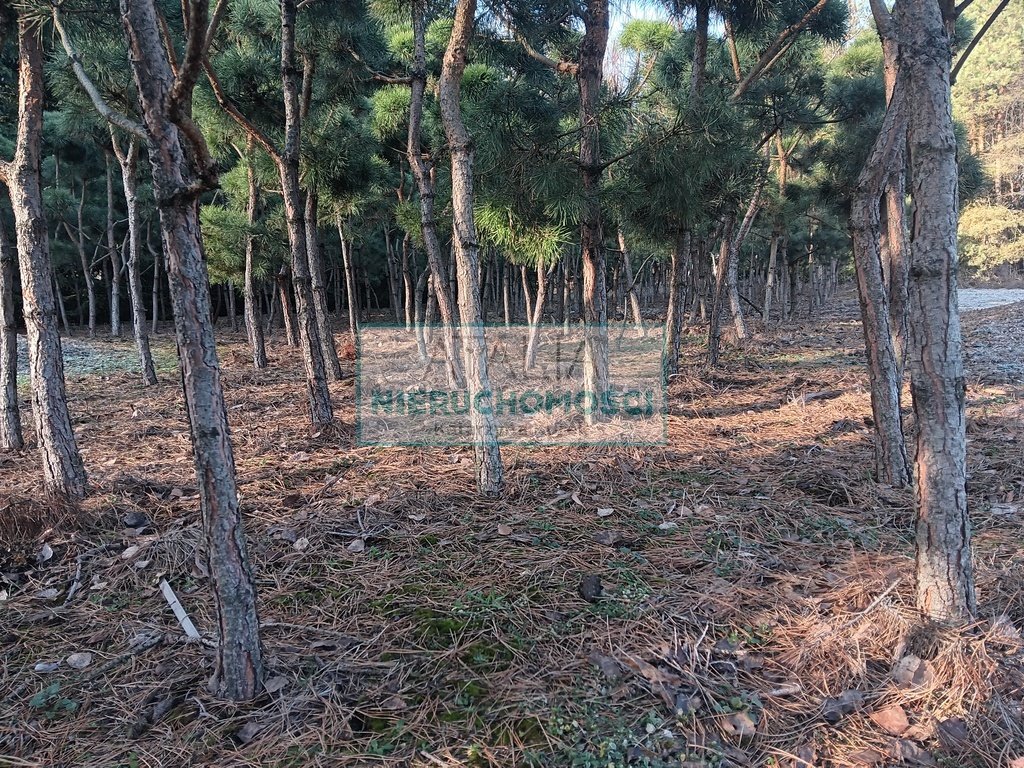 Na sprzedaż działka 1997 m² w Żelechowie z nową zabudową Żelechów  1 997m2 Foto 1