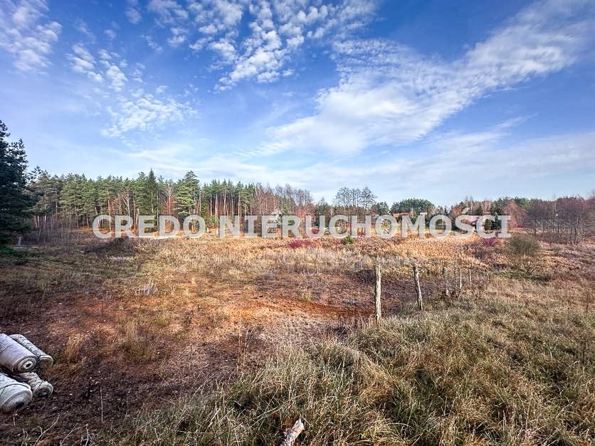 Działka rolna na sprzedaż Spychowo  2 636m2 Foto 11