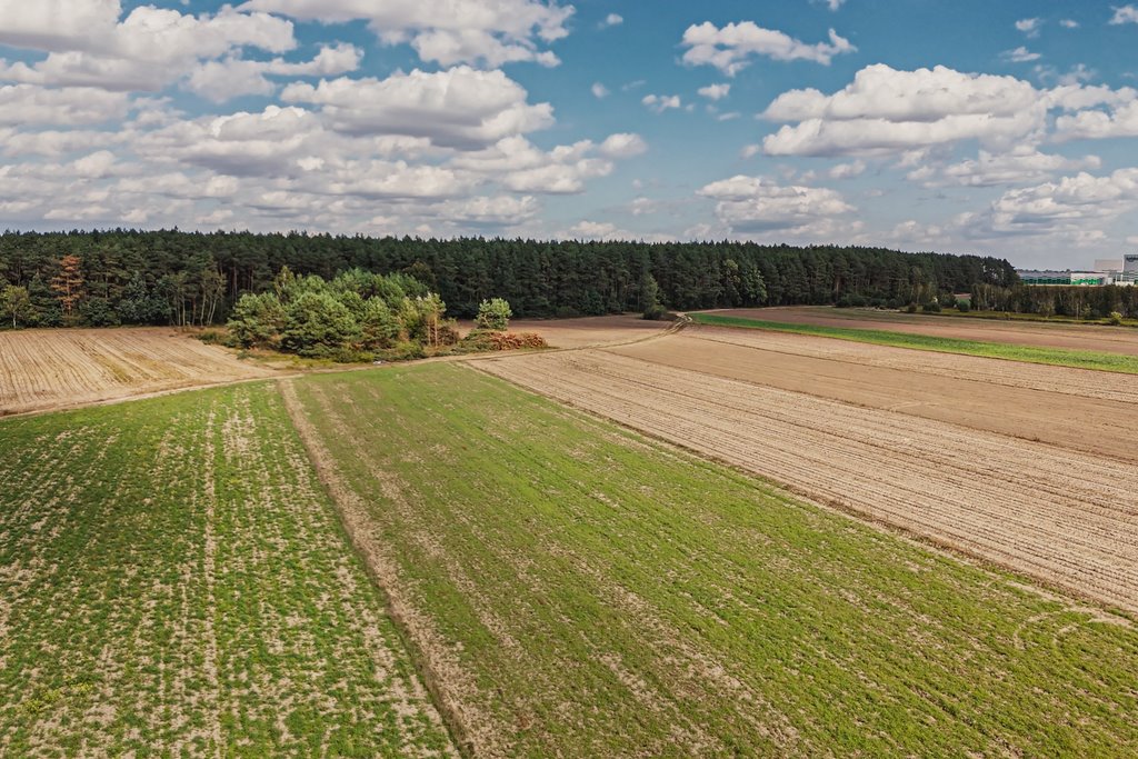 Działka inwestycyjna na sprzedaż Emilianów  11 039m2 Foto 2