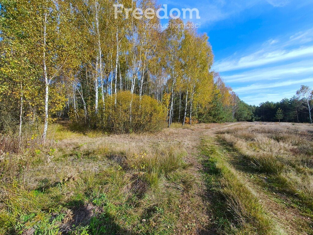 Działka rolna na sprzedaż Wólka Mlęcka  9 600m2 Foto 5