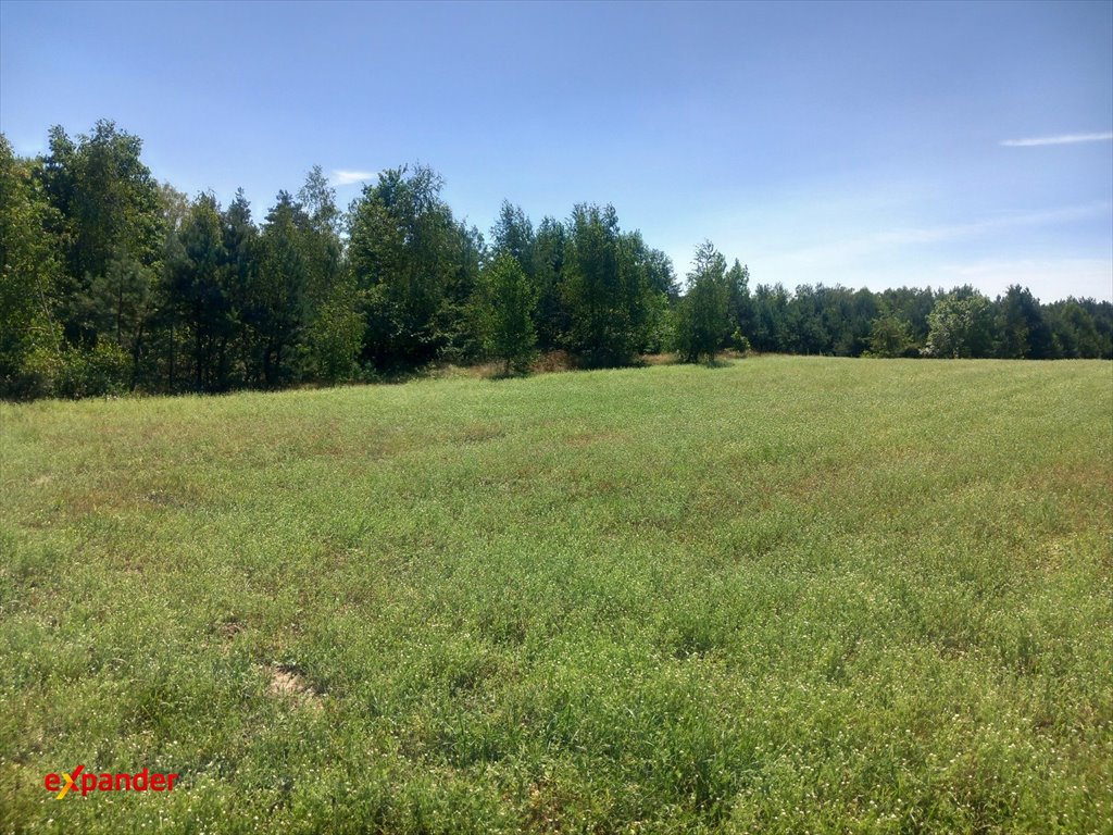 Działka rolna 2,91 ha w Likiecu blisko jeziora i lasu Likiec  29 100m2 Foto 1