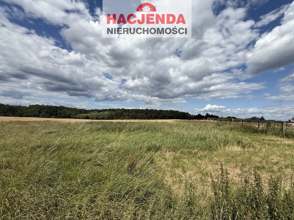 Działka rolna na sprzedaż Przęsocin  1 700m2 Foto 1