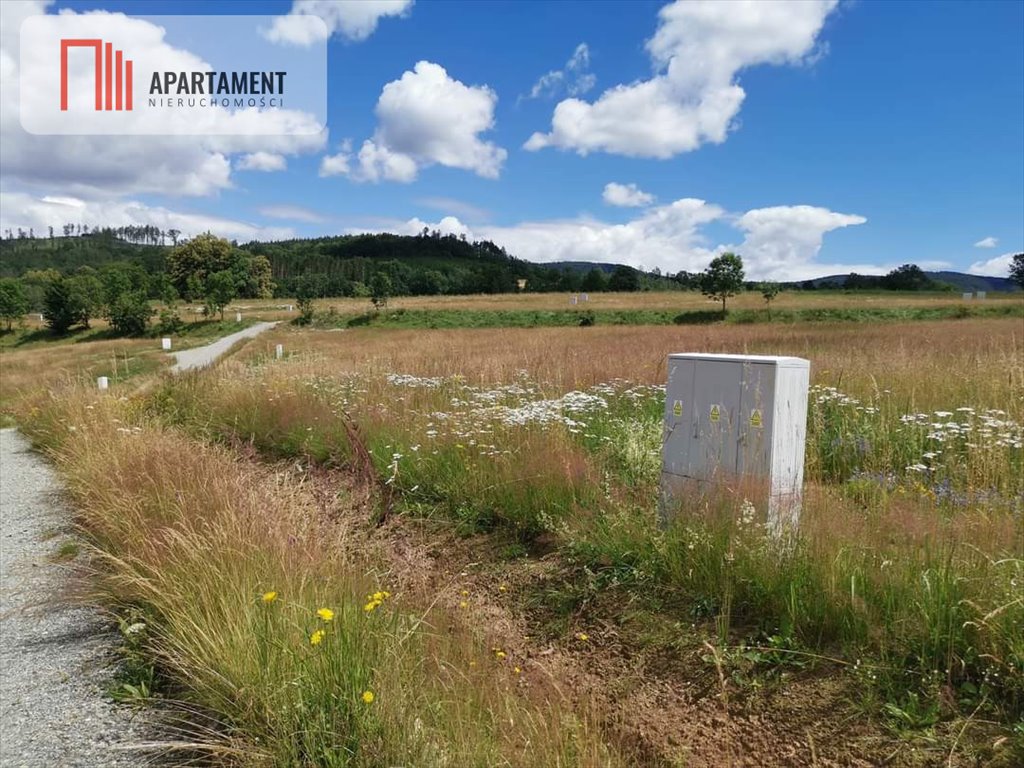 Działka budowlana na sprzedaż Wojciechowice  821m2 Foto 3