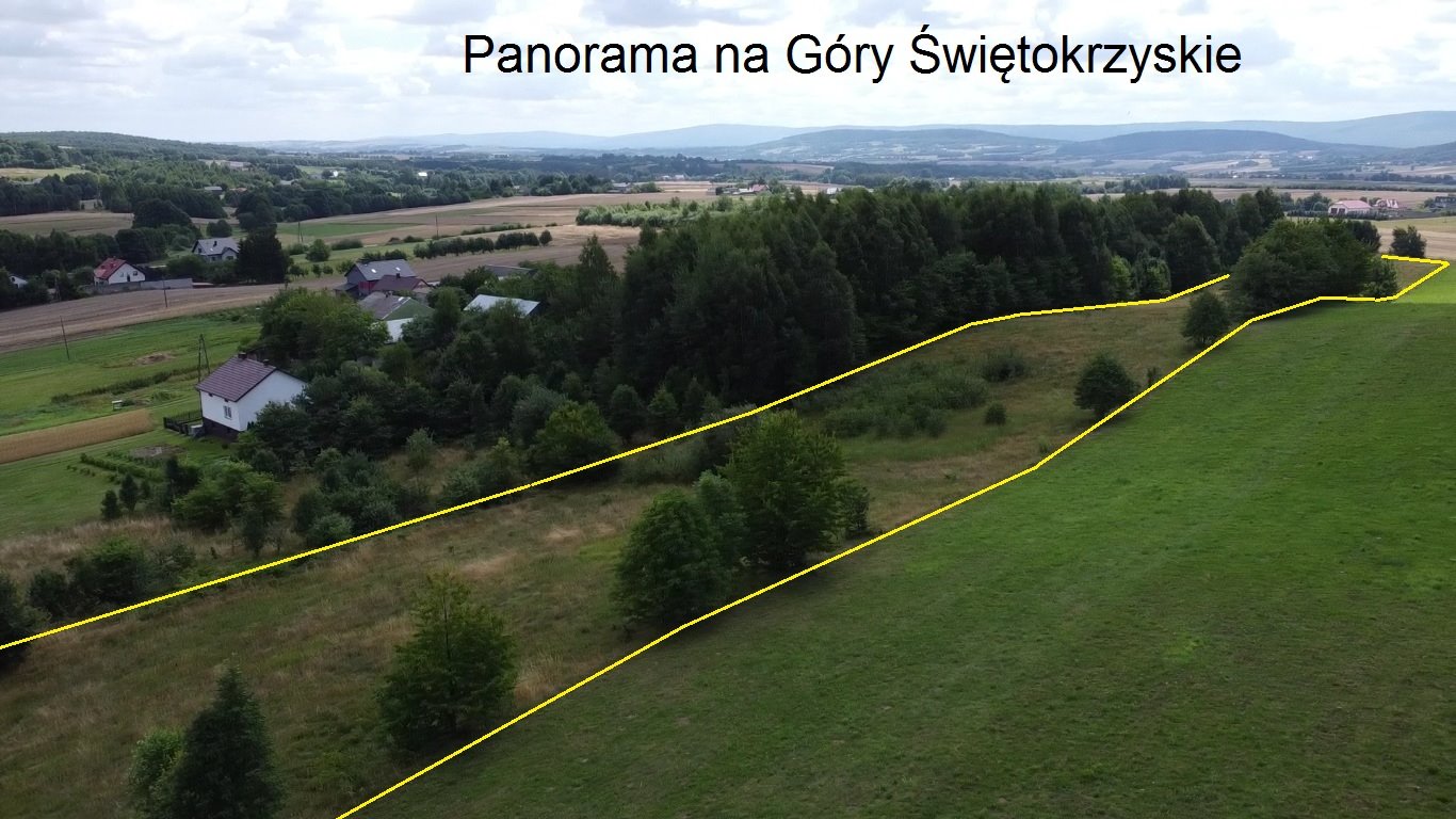 Działka budowlana na sprzedaż Orzechówka  9 800m2 Foto 6