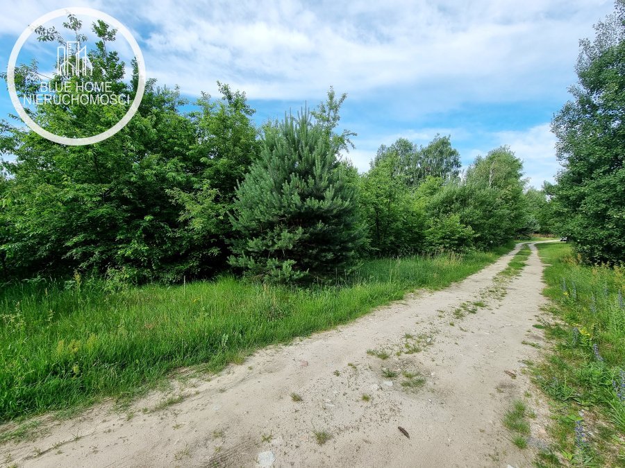 Działka budowlana na sprzedaż Wola Uhruska, Jasna  5 000m2 Foto 8